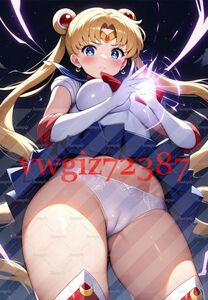 AN-3232 1G セーラームーン 月野うさぎ 美少女戦士セーラームーン 同人 A4 アニメ 高品質 anime 巨乳 イラストアート ポスター