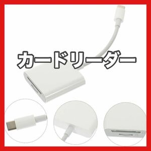 カードリーダー カメラ Otg ライン メモリーカードコンバーター アダプター USB C Type-c カード読み取り