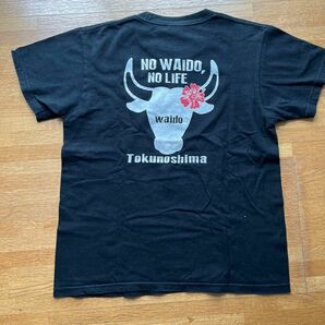 ◇◆ Tシャツ 鹿児島 徳之島 島Tシャツ 離島 Tee WAIDO 牛 サイズ160 半袖Tシャツ