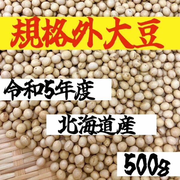 【規格外 500g】令和5年度 北海道産 大豆　乾物　乾燥豆 豆　乾燥野菜