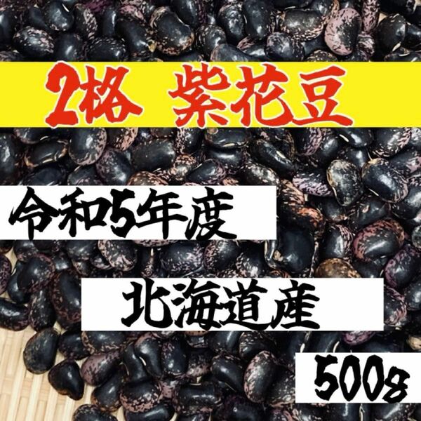 【２格 ５００g】令和５年度 北海道産 紫花豆 乾物 乾燥野菜 豆 