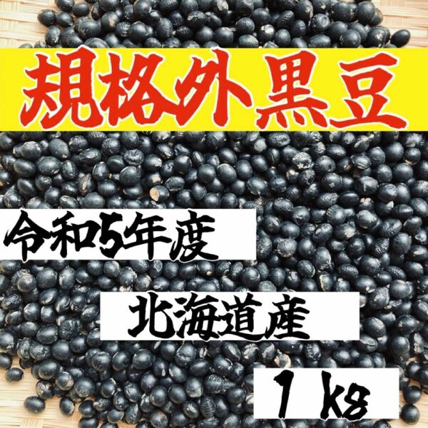 【規格外1kg】令和5年度 北海道産 大粒光黒大豆 黒豆 乾燥豆 豆