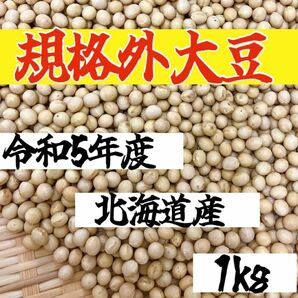 【規格外１kg】令和5年度 北海道産 大豆　乾燥豆 豆　