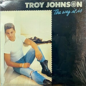 Troy Johnson - The Way It Is（★盤面極上品！）