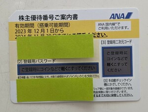 ANA　全日空　株主優待券　有効期限11月30日
