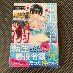 王弟殿下の溺愛 （角川ルビー文庫　Ｒ９７－６２） 天野かづき／〔著〕　他