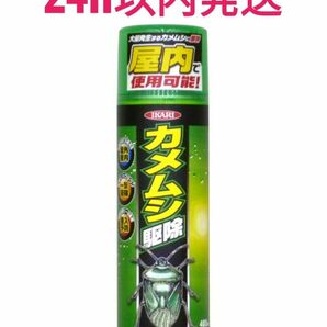 【24h以内発送！】イカリ ムシクリン カメムシ用エアゾール 480ml 駆除