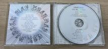 【送料無料】ＢＲＡＨＭＡＮ／ＴＨＥＭＩＤＤＬＥＷＡＹ／ブラフマン／ミドル・ウェイ／『ＣＤ』帯付き_画像4