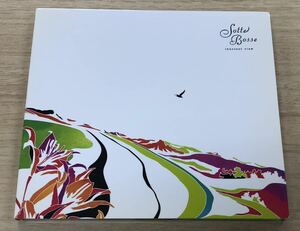 【送料無料】／innocent view／イノセント ヴュー／Sotte Bosse／ソットボッセ／【CD】