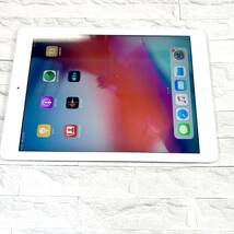 Apple iPad Air Wi-Fiモデル 16GB MD788J/B　_画像3