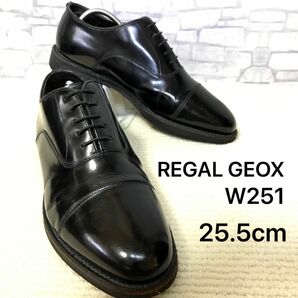 【希少】REGAL GEOX 25.5センチ　W251 ストレートチップ 内羽根