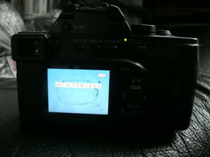 PANASONIC DMC-FZ10