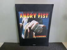 ◆○バンドスコア Hi-STANDARD ハイ・スタンダード ANGRY FIST アングリー・フィスト タブ譜あり 2001年20刷_画像1