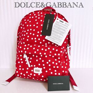 【新品未使用品】DOLCE&GABBANA バックパック リュック ドット柄 レッド×ホワイト