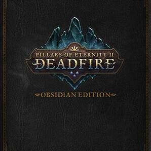 Pillars of Eternity II Deadfire Obsidian Edition PC Steam コード 日本語可