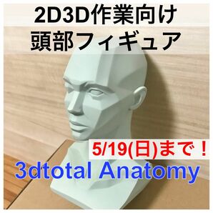 【2D3D作業に】3dtotal Anatomy 頭部フィギュア