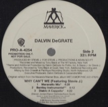 【廃盤12inch】Dalvin DeGrate / Why Can't We_画像2