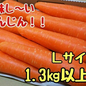 美味しいにんじん！Ｌサイズ！1.3㎏以上！