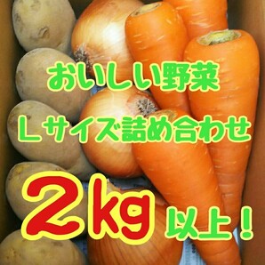 美味しい野菜セット！Lサイズ！２㎏以上！常備野菜！！