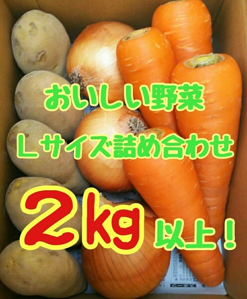 美味しい野菜セット！Lサイズ！２㎏以上！常備野菜！！