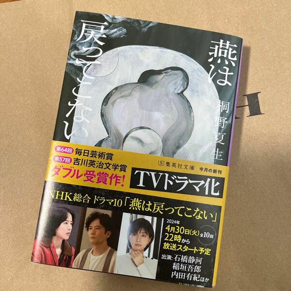 燕は戻ってこない （集英社文庫　き１６－６） 桐野夏生／著