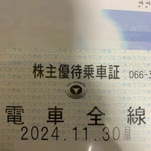  Tokyo express electro- iron ( Tokyu electro- iron ). stockholder hospitality get into car proof train all line fixed period type. have efficacy time limit :2024/11/30