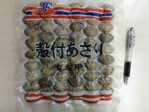 ■【便利】ボイル殻付あさり　(51/60)　　500gパック×10パツク=5kgお届け！　　味噌汁！パスタ！酒蒸し！