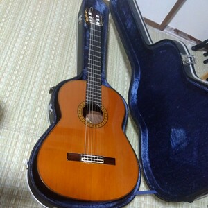  flamenco guitar classic guitar acoustic guitar Bossa Nova guitar gut guitar *