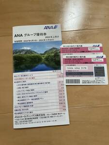 ANA株主優待券　２枚　最新　有効期限は2025年5月31日まで　送料無料