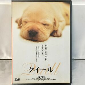 【DVD】クイール('04松竹/テレビ東京/テレビ大阪/衛星劇場/日販)