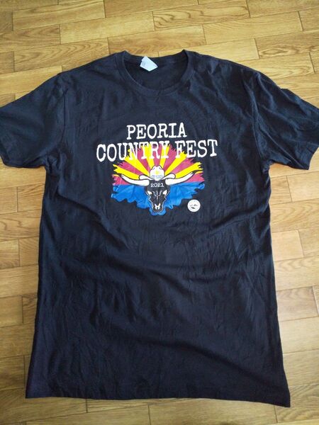 最終値下げします! アメリカ購入プリントTシャツ