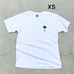 最新作 S_AND Palm Tree 半袖Tシャツ XS