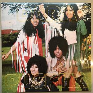 LP Indonesia[ Dara Puspita ]Tropical Funky Fuzz Garage Soul Rock 70's illusion rare new recording self . record legend . band 