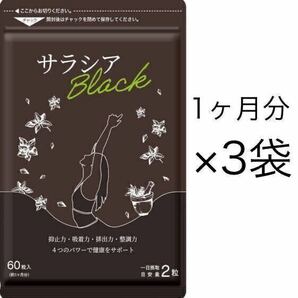 ★送料無料★サラシアブラック 約3ヶ月分(1ヶ月分60粒×3袋)サプリメント シードコムス ダイエット サラシア茶 チャコール 炭