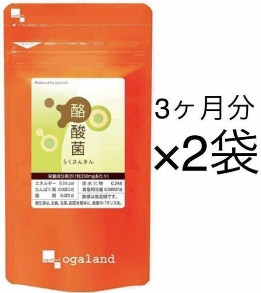 ★送料無料★酪酸菌 約6ヶ月分(2025.6~)(3ヶ月分90粒入り×2袋)腸内フローラ オーガランド サプリメント