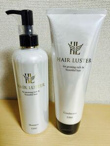 イービーエム ヘアラスター シャンプー 300mL& コンディショナー 240g ２個セット〈新品〉