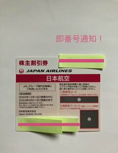 ＊即！番号通知＊ JAL 日本航空 株主優待券　 1 枚 2024年5月31日搭乗分まで