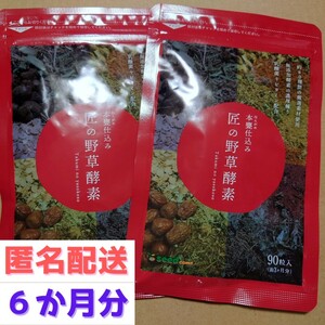 約６か月分　９０粒入り×２袋　匠の野草酵素 サプリメント シードコムス　賞味期限2025.11