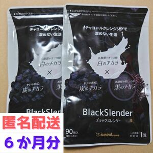 約６か月分　９０粒入り×２袋　ブラックスレンダー シードコムス　賞味期限2026.8