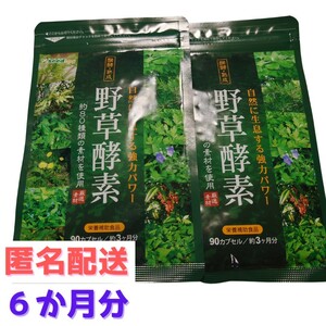 約６か月分　９０粒入り×２袋　野草酵素 サプリメント シードコムス　賞味期限2026.2