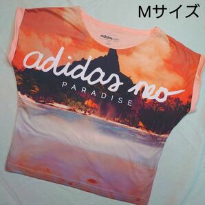 アディダスネオ プリントTシャツ Mサイズ Tシャツ トップス 半袖 半袖カットソー ロゴ