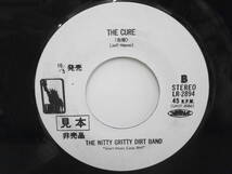 白ラベル見本盤★ニッティー・グリッティー・ダート・バンド /シェリーのブルース★EP 7” Nitty Gritty Dirt Band_画像6