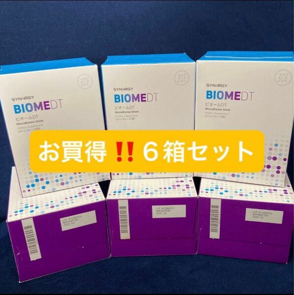 ☆絶対お得☆6箱 ビオームDT シナジーワールドワイド 未開封 食物繊維含有食品