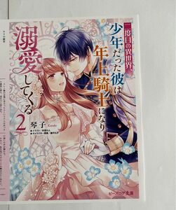 二度目の異世界、少年だった彼は年上騎士になり溺愛してくる2 アニメイト特典ペーパーのみ　琴子