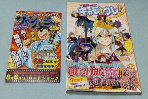 ディーグレイマン キャラクターランキングブック キャラ+グレ 星野桂 初版 帯付 チラシ