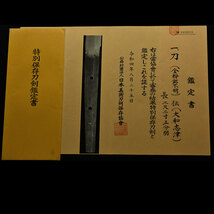 刀　金粉銘「大和志津」特別保存刀剣鑑定書付　健全な鎌倉期の優品　長さ　68.1cm_画像7