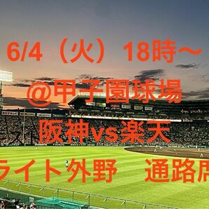 6/4(火) 18時〜　@阪神甲子園球場　　　　　　阪神 vs 楽天　ライト外野1枚　通路席