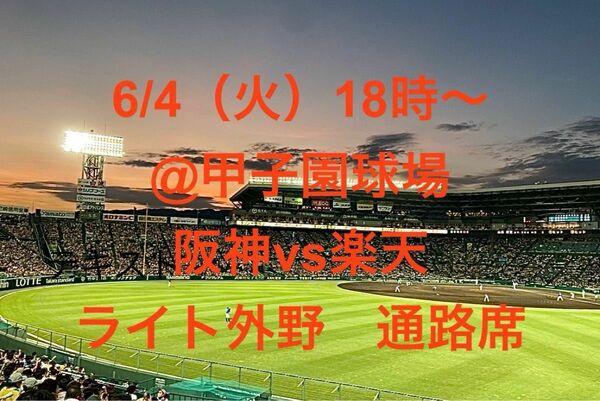 6/4(火) 18時〜　@阪神甲子園球場　　　　　　阪神 vs 楽天　ライト外野1枚　通路席