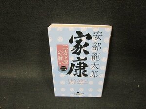 家康（二）　安部龍太郎　幻冬舎時代小説文庫　シミ折れ目有/TFZC