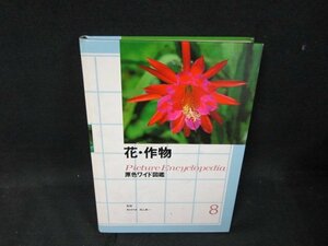 原色ワイド図鑑8　花・作物　箱無シミ有/TFZL